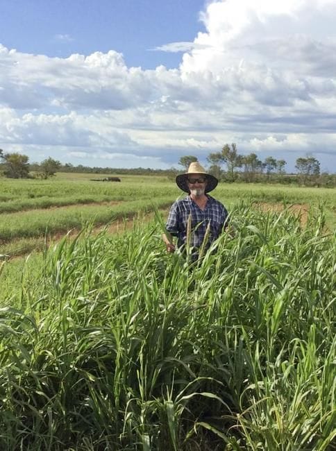 Mosaic Agriculture: developing new beef markets to manage risk for graziers